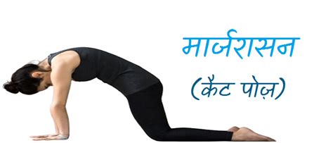 How To Do Majaryasana Cat Pose And What Are Its Benefits