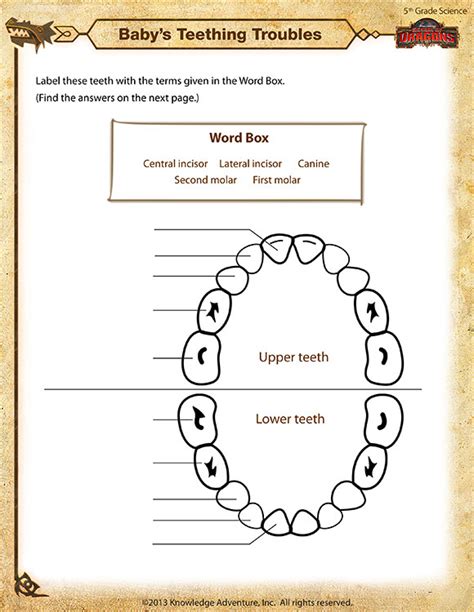 This method allows for different observations to take place in order to prove one's theory in regards to the nature of science. Baby's Teething Troubles View - Printable 5th Grade ...