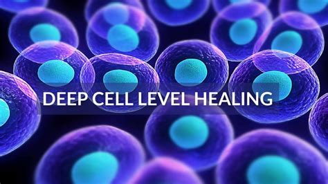 2 Hour Deep Cell Level Healing Youtube