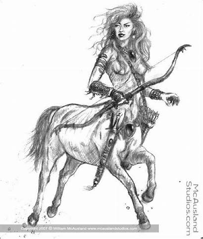 Centaur Female Sketch Sagittarius Tattoo Tattoos Archer