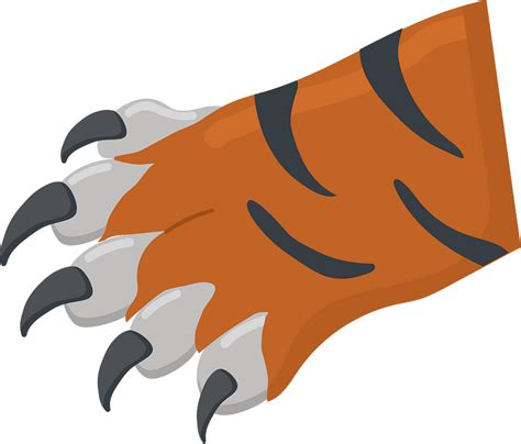 Claw Clip Art Tiger Claw Clipart Png Download Full Size Clipart Sexiz Pix