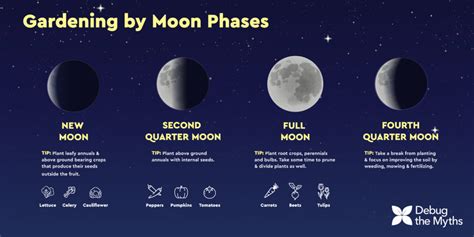 How Does The Moon Influence The Plants In The Garden Lunar Cycles Complete Gardering
