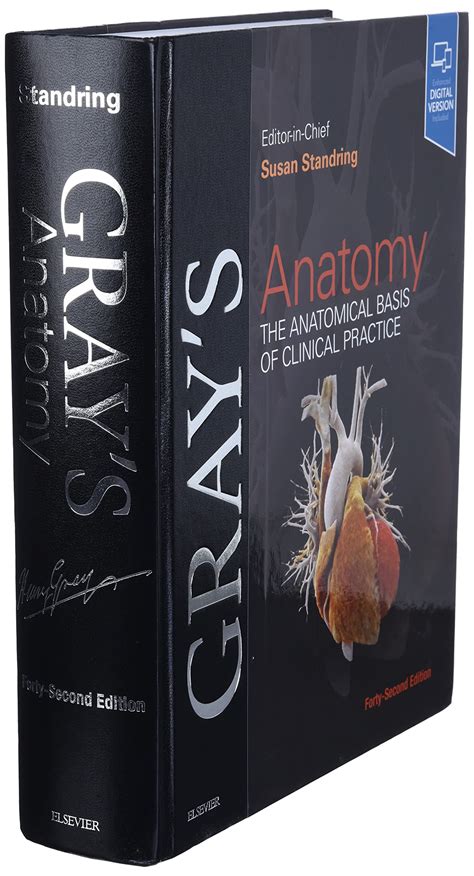 Grays Anatomy 42ed By Susan Standring The Anatomical Basis Of