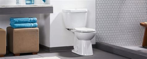 The Original Stealth® 08 Gpf Single Flush 12 Round Toilet