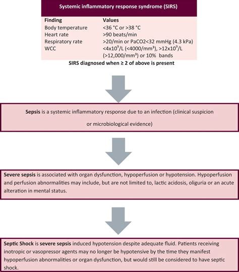 Sepsis Recognition And Treatment Rcp Journals