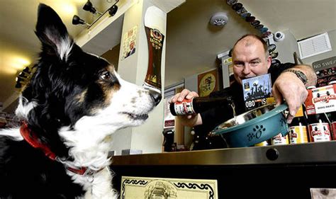 Give the gift of sticky immortality with these customizable pet stickers. Dog beer: Pub offers new non-alcoholic brew for pets | UK ...