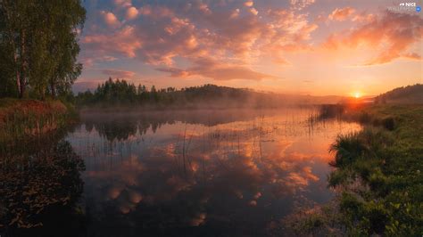 Fog Trees Clouds Viewes Lake Sunrise Reflection Nice Wallpapers