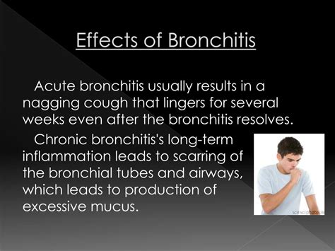Ppt Respiration And Circulation “bronchitis” Powerpoint Presentation