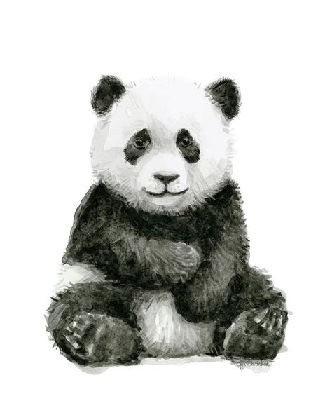 Baby Panda Watercolor Painting By Olga Shvartsur Pixels Merch