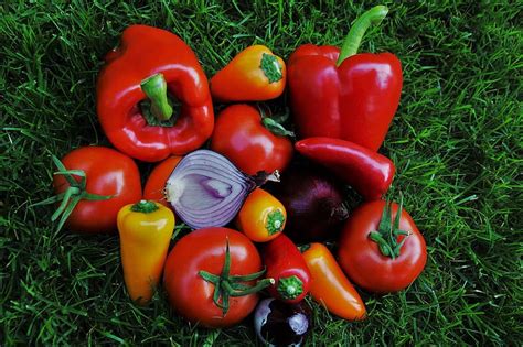 Paprika Vegetables Red Fresh Food Sweet Peppers The Richness Of