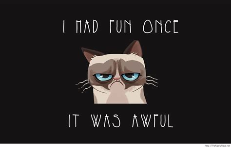 Grumpy Cat 2014 Wallpaper Quote Thefunnyplace