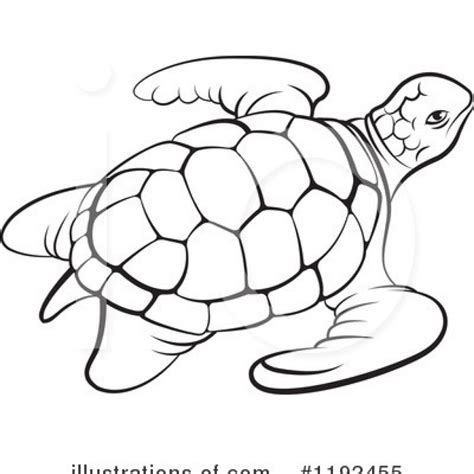 Goodinfo Outline Sea Animals Clipart Black And White