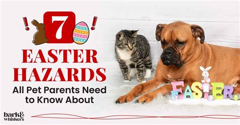 7 Easter Hazards All Pet Parents Need To Know About