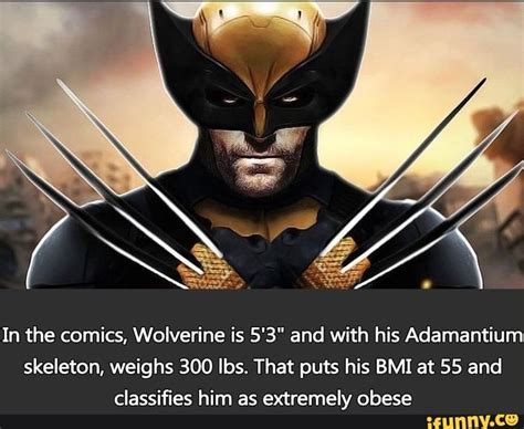 in the comics wolverine is 5 3 and with his adamantium skeleton weighs 300 ibs that puts his
