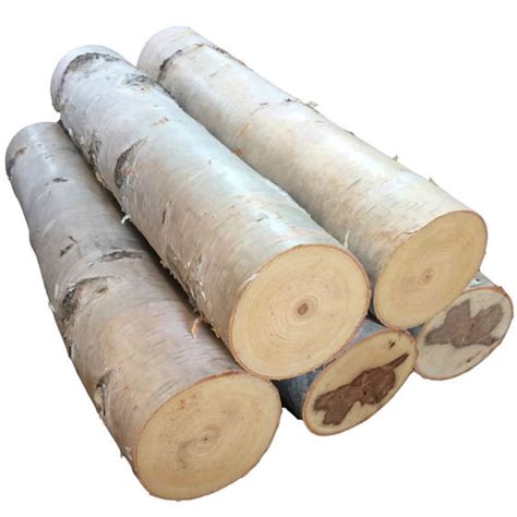 Five 24 White Birch Logs Free Shipping Etsy