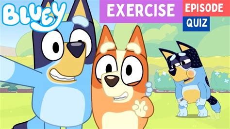 Bluey Exercise Episode Quiz ‼️ 🏃‍♂️ Bunya Toy Town Youtube