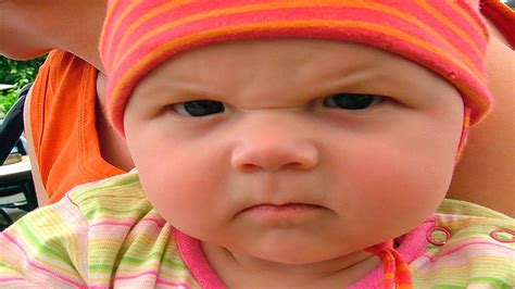 Babies With Attitude Collection Angry Baby Angry Baby Face Funny