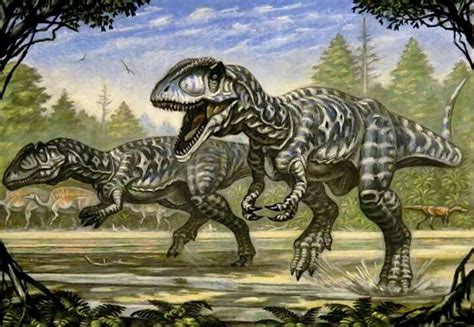 Carcharodontosaurus Artwork By Andrej Belov Prehistoric Animals