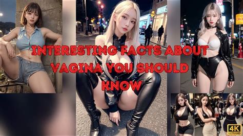 Interesting Facts About Vagina You Should Know Ai Artbook
