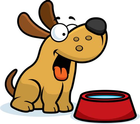 Water Bowl Dog Illustrations Royalty Free Vector Graphics And Clip Art