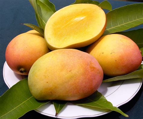 Mousse De Mango Tembiu Paraguay
