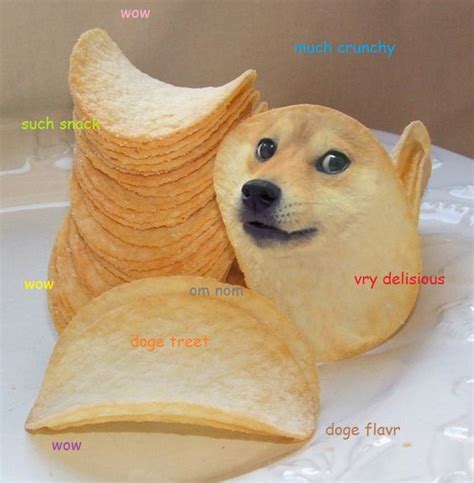 The 55 Funniest Doge Memes Of All Time The Paws