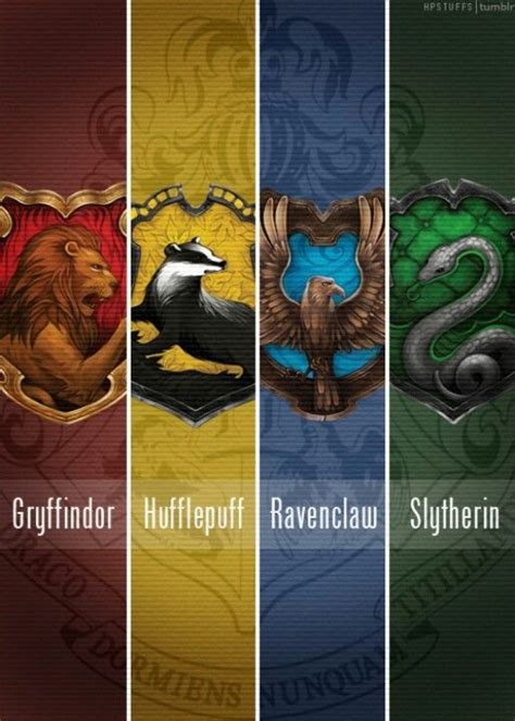 Gryffindor Slytherin Hufflepuff Ravenclaw People