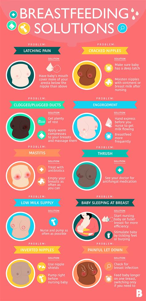 10 Common Breastfeeding Problems How To Solve Them Artofit