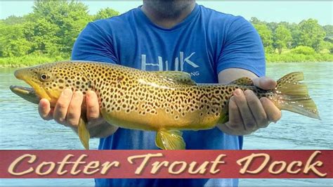 July 7 2021 Arkansas White River Trout Fishing Report Youtube