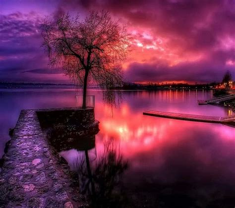Speechless Purple Sunset Sunset Wallpaper Amazing Sunsets