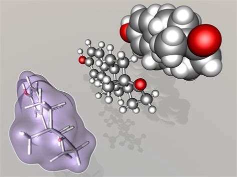 Estrone Molecule 3d Model Cgtrader Free Nude Porn Photos