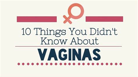 10 Amazing Facts About The Vagina You Never Knew Shallies Purple
