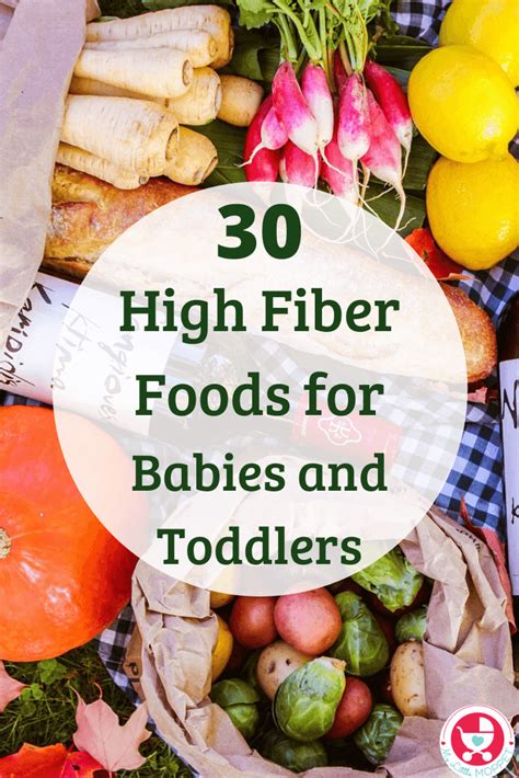 Here are 27 recipes for our favorite high fiber snacks. 30 High Fiber Foods for Babies and Toddlers | High fiber ...