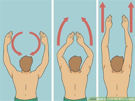 How To Swim The Breaststroke With Pictures Wikihow
