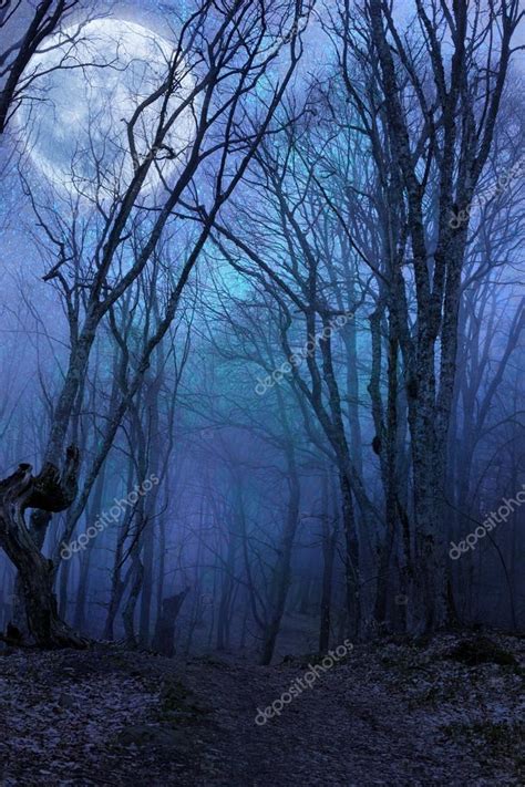 Dark Night Forest Agaist Full Moon — Stock Photo