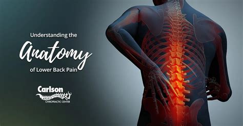 Understanding The Anatomy Of Lower Back Pain Carlson Chiropractic Center