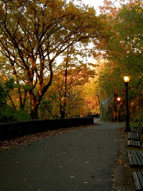 Fort Tryon Park In The Fall Nyc Heather Gardens Fall Nyc Stone Creek