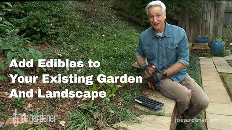 How To Add Edibles To Your Existing Garden And Landscape Youtube