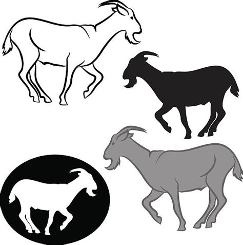 Royalty Free Dairy Goat Clip Art Vector Images And Illustrations Istock