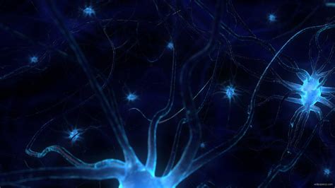 Neurons Wallpapers Wallpaper Cave