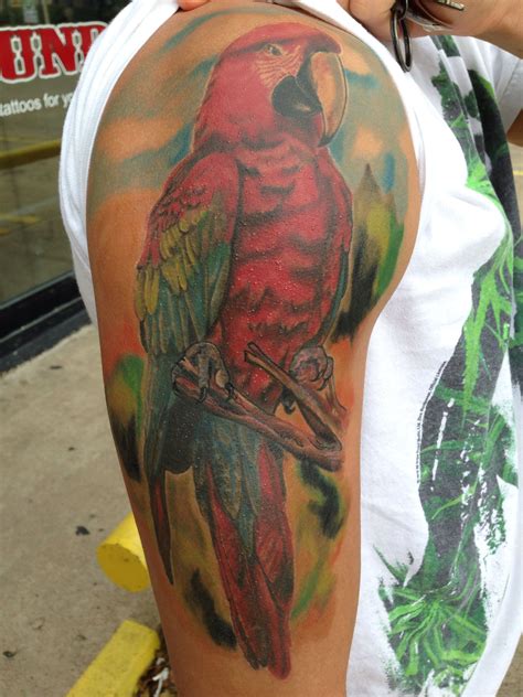 4.5 out of 5 stars 2. Macaw tattoo | Animal tattoos, Parrot tattoo, Color tattoo