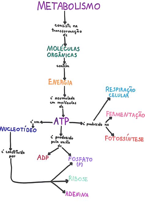 Mapa Mental Metabolismo Celular