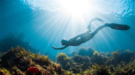 Freediving In Krabi Ao Nang PADI Freediver Course Sea Gypsy Divers