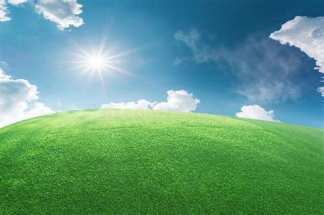Image Of Green Grass Field And Bright Blue Sky Stock Image Image Of