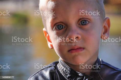 Portrait Of A Cute Boy Stock Photo Download Image Now Blond Hair