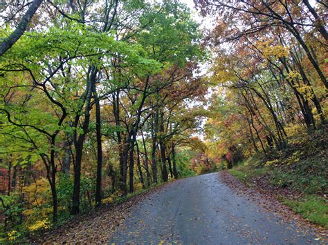 Viewing Fall Foliage In And Around Northwest Arkansas