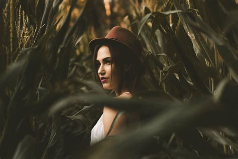 Selective Focus Photo Woman Standing Corn Fields People Girl