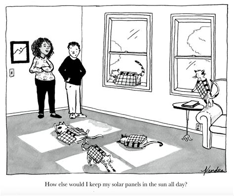 New Yorker Cartoons Cats
