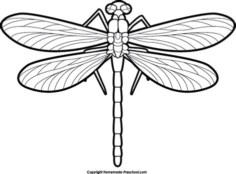 Dragonfly Black And White Clip Art Clip Art Library