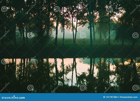 Forest Reflections On The Lake Stock Photo Image Of Nature Cloud